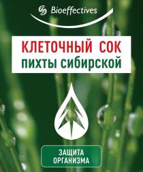 BIOEFFECTIVES КЛЕТОЧНЫЙ СОК ПИХТЫ СИБИРСКОЙ ЗАЩИТА ОРГАНИЗМА