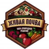 ЖИВАЯ ПОЧВА 100% ПРИРОДНОЕ РЕШЕНИЕ