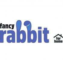 FANCY RABBIT FOR HOME