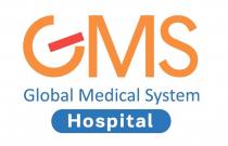 GMS GLOBAL MEDICAL SYSTEM HOSPITAL