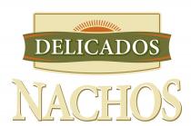 DELICADOS NACHOS