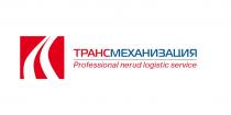 ТРАНСМЕХАНИЗАЦИЯ PROFESSIONAL NERUD LOGISTIC SERVICE