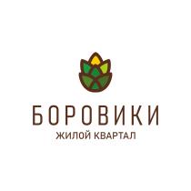 БОРОВИКИ ЖИЛОЙ КВАРТАЛ