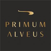 PRIMUM ALVEUS