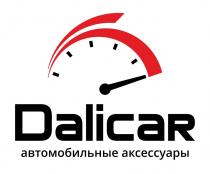 DALICAR АВТОМОБИЛЬНЫЕ АКСЕССУАРЫ