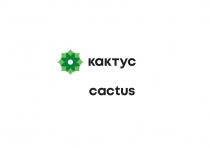 КАКТУС, CACTUS