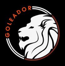 GOLEADOR FOOTBALL SCHOOL