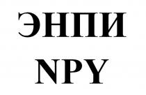 ЭНПИ NPY