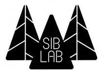 SIB LAB