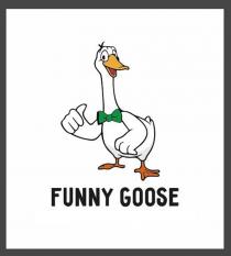 FUNNY GOOSE