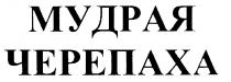 МУДРАЯ ЧЕРЕПАХА