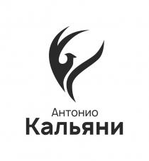 АНТОНИО КАЛЬЯНИ