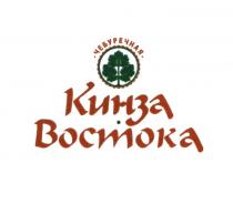 КИНЗА ВОСТОКА ЧЕБУРЕЧНАЯ