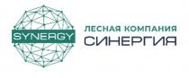 SYNERGY СИНЕРГИЯ ЛЕСНАЯ КОМПАНИЯ