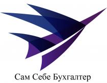 САМ СЕБЕ БУХГАЛТЕР