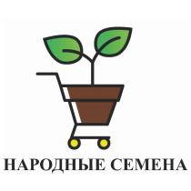 НАРОДНЫЕ СЕМЕНА