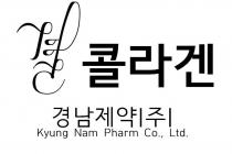 KYUNG NAM PHARM CO LTD