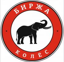 БИРЖА КОЛЁС