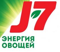 J-7 ЭНЕРГИЯ ОВОЩЕЙ