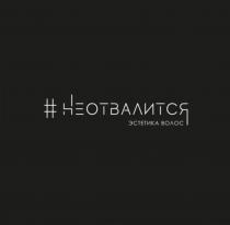 НЕОТВАЛИТСЯ ЭСТЕТИКА ВОЛОС