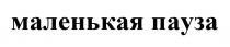 МАЛЕНЬКАЯ ПАУЗА