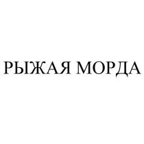 РЫЖАЯ МОРДА