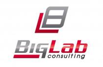 BL BIGLAB CONSULTING