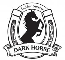 DARK HORSE SUDDEN SUCCESS
