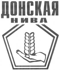 ДОНСКАЯ НИВА