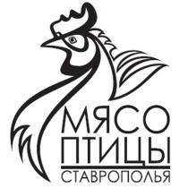 МЯСО ПТИЦЫ СТАВРОПОЛЬЯ