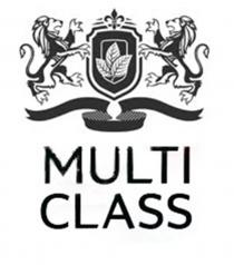 MULTI CLASS