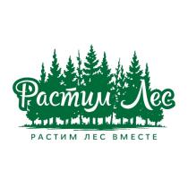 РАСТИМ ЛЕС ВМЕСТЕ