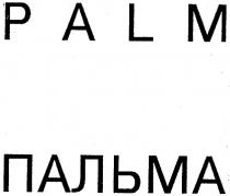 PALM ПАЛЬМА