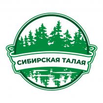 СИБИРСКАЯ ТАЛАЯ