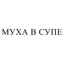 МУХА В СУПЕ