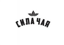 СИЛА ЧАЯ