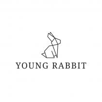 YOUNG RABBIT