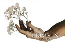 CRIMSUN VISION