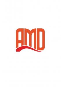 AMD 1995