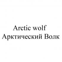 ARCTIC WOLF АРКТИЧЕСКИЙ ВОЛК