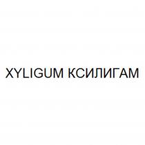 XYLIGUM КСИЛИГАМ