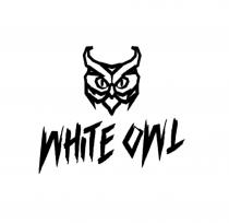 WHITE OWL