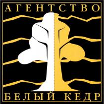 АГЕНТСТВО БЕЛЫЙ КЕДР