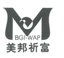 M BGI-WAP