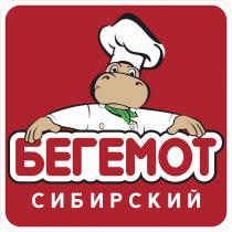 БЕГЕМОТ СИБИРСКИЙ