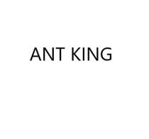 ANT KING