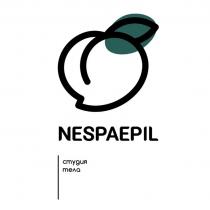 NESPAEPIL СТУДИЯ ТЕЛА