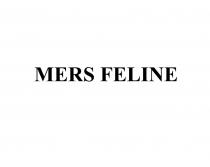 MERS FELINE