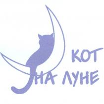 КОТ НА ЛУНЕ KOT