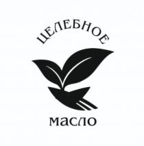 ЦЕЛЕБНОЕ МАСЛО